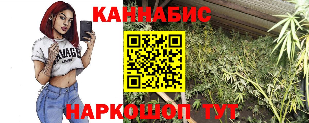 Коряжма  Канабис OG Kush  Конопля планчик  Конопля Amnesia  Вход с VPN 